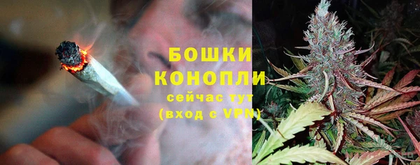 дмт Горнозаводск