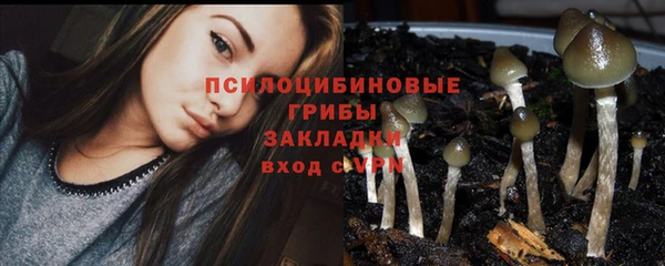 трава Горняк