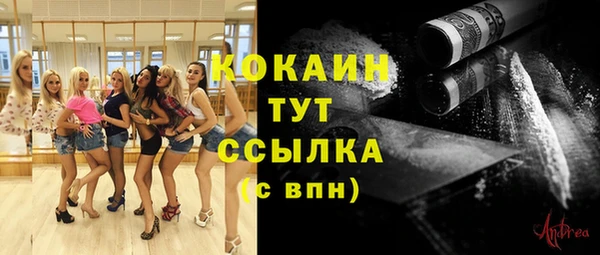 дмт Горнозаводск