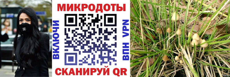 Галлюциногенные грибы Magic Shrooms  площадка наркотические препараты  Москва 